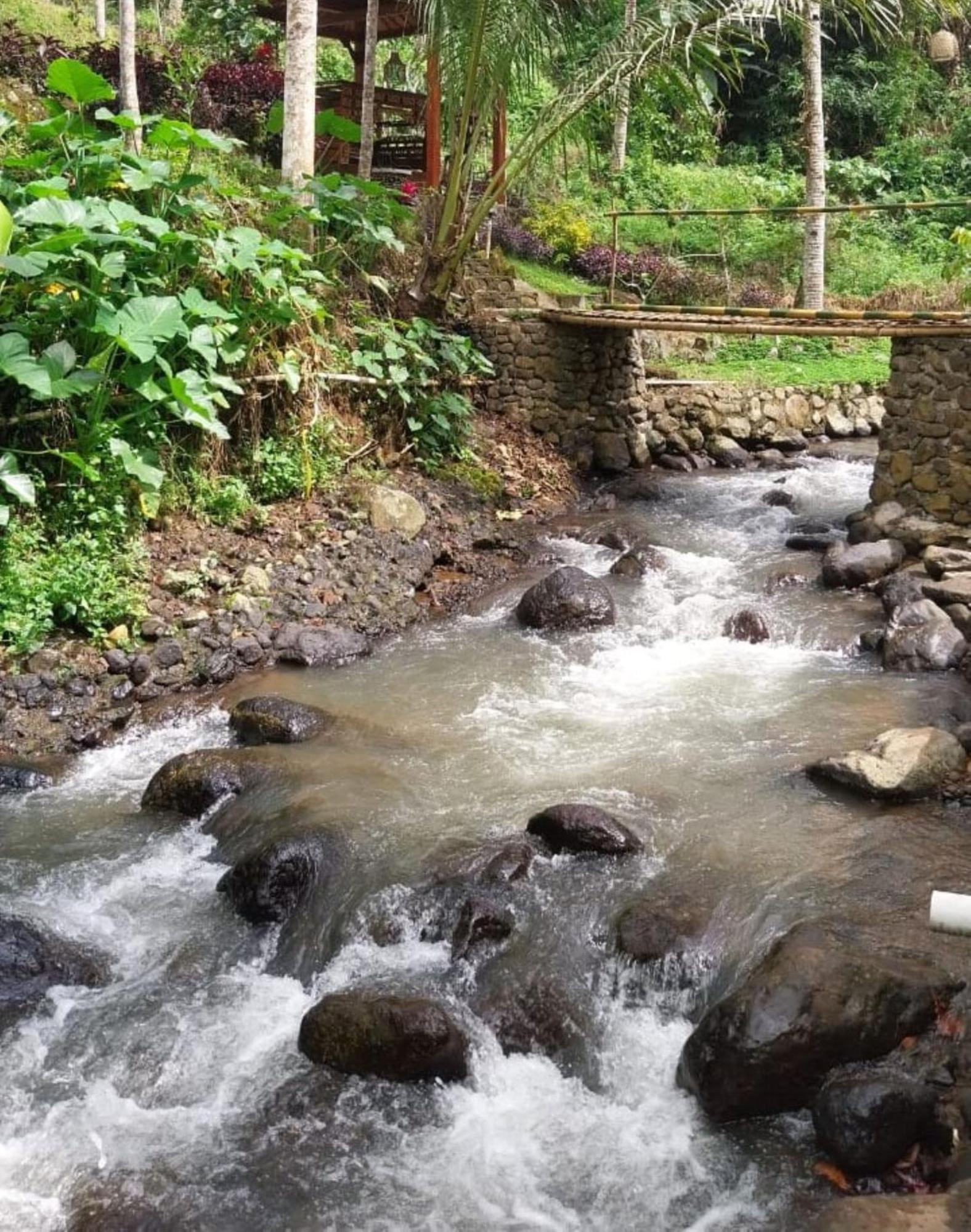 فيلا Kampoeng Joglo Ijen بانيووانجى المظهر الخارجي الصورة