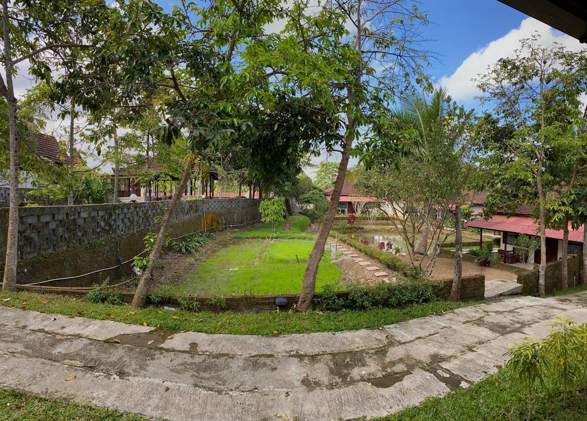 فيلا Kampoeng Joglo Ijen بانيووانجى المظهر الخارجي الصورة