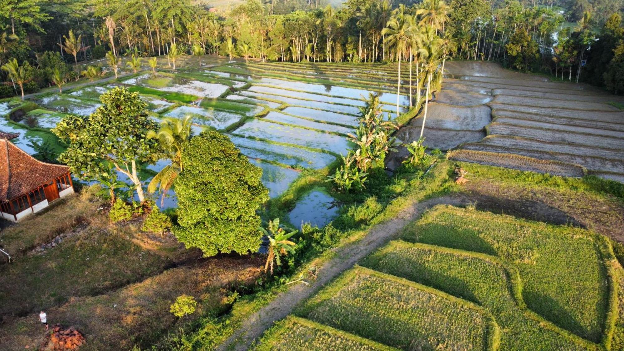 فيلا Kampoeng Joglo Ijen بانيووانجى المظهر الخارجي الصورة